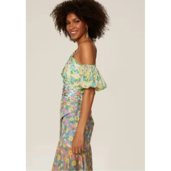 AMUR
Jaylah Dress size 12 - Picture 3 of 17